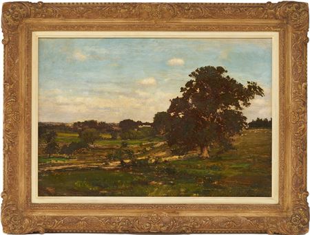 A rural landscape