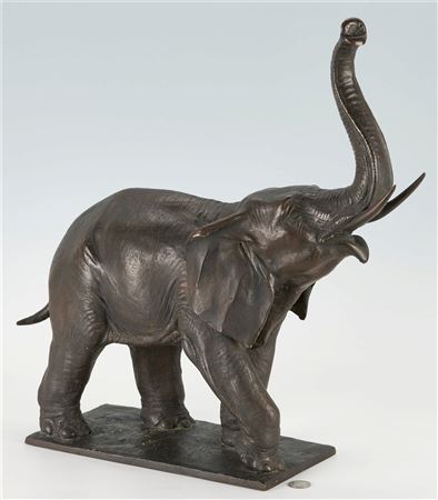 An elephant
