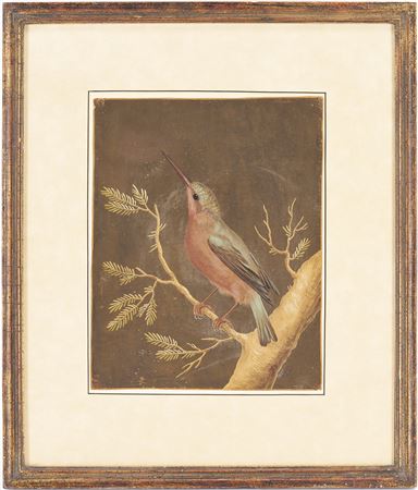 Bird on a branch