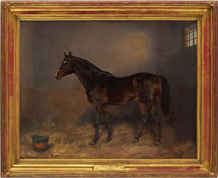 Portrait of Racehorse Sun Briar