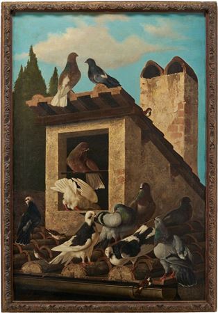 The Rooftop Roost