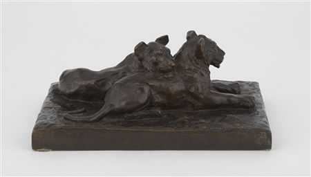 Two lionesses lounging