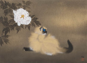 Breeze