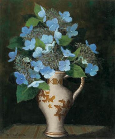 Lacecap hydrangea (2)