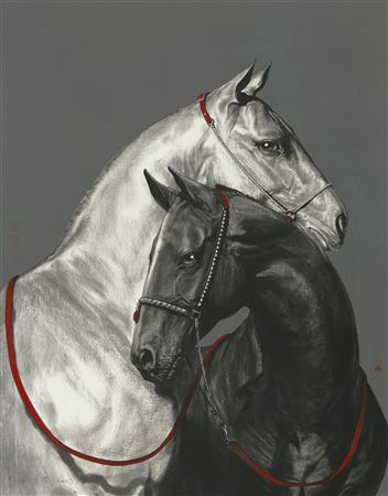 Companion