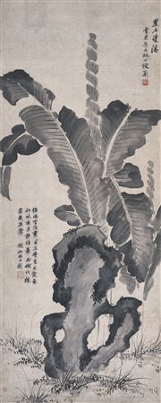 Plantain and Rock
