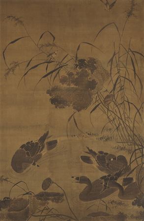 Ducks in Lotus Pond