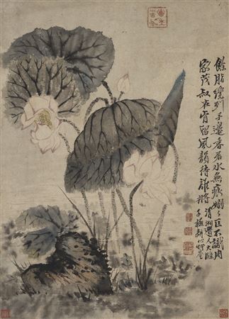 Lotus
