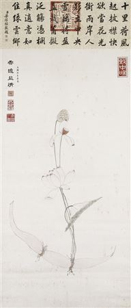 Lotus Root