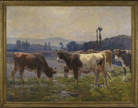 Vaches s'abreuvant à un étang.
