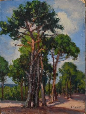 Les pins maritimes-Massif des Aravis. -La solitude du pin.-Les pins.