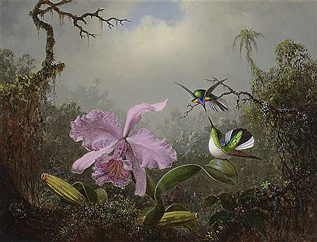 Cattleya Orchid with Two Brazilian Hummingbirds by Martin Johnson Heade - Auction record, sale price, and art valuation. Compare with similar artists and explore comparable artworks.