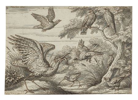 Birds in woodland: bittern, woodcock, curlew, wood-pigeons and a woodpecker