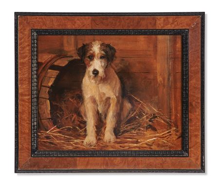 Portrait of a Dog