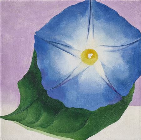 Blue Morning Glory - Image 1 of 4