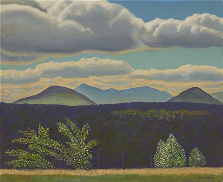 Tree Tops and Mountain Peaks