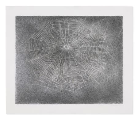 Web #10
