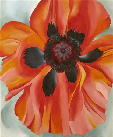 Red Poppy - Image 1 of 4