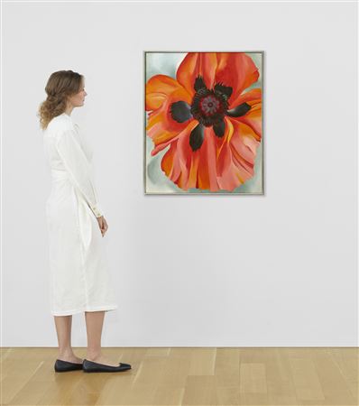 Red Poppy - Image 4 of 4
