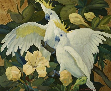 Two Cockatoos