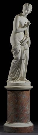 Venus after the bath