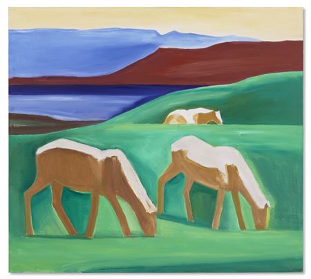 Louisa Matthiasdottir - artist photo for art wanted listing (New York, NY)