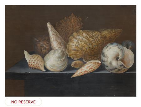 Still life with exotic shells and coral on a table by Johann Jacob Dietzsch - Auction record, sale price, and art valuation. Compare with similar artists and explore comparable artworks.