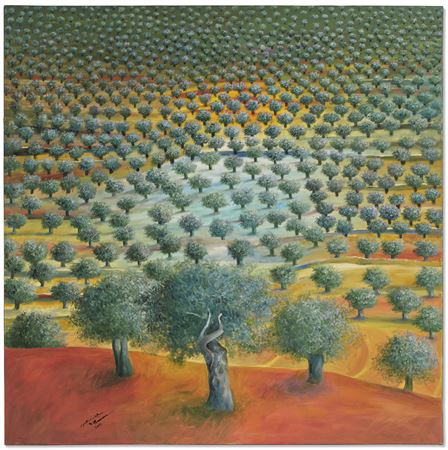 Olive Tree Grove