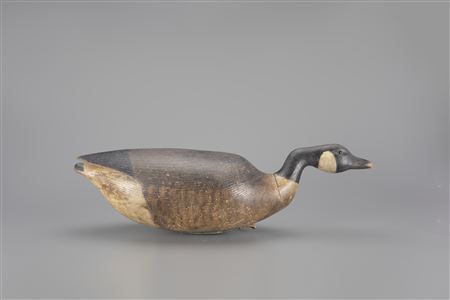 Cobb-Style Hissing Canada Goose