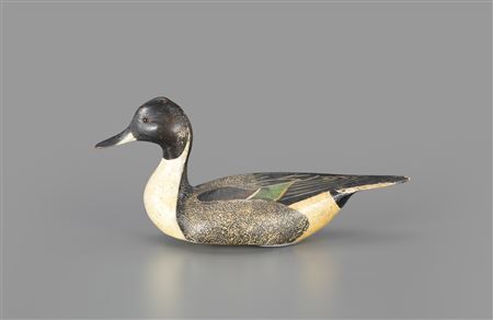 The Mackey-Williams Pinch-Breast Pintail Drake
