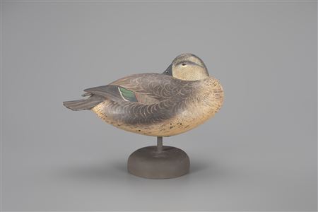 Exemplary Standing Green-Winged Teal Hen