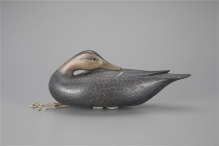 McNair Rig Preening Black Duck