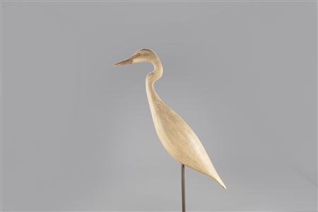 American Egret
