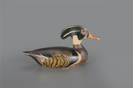 Wood Duck Drake