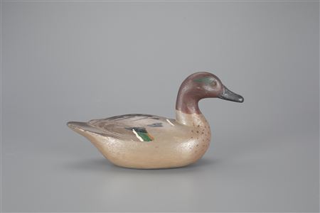 Exceedingly Rare Green-Winged Teal
