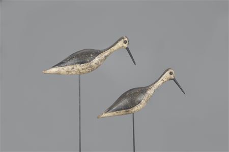 Willet Pair