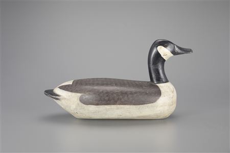 Canada Goose