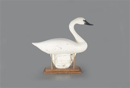 Early Swan