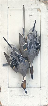 Hanging Pintails