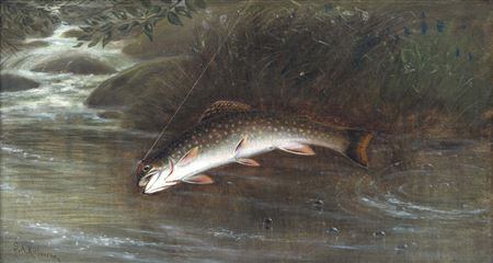 Brook Trout by Samuel Kilbourne - Auction record, sale price, and art valuation. Compare with similar artists and explore comparable artworks.