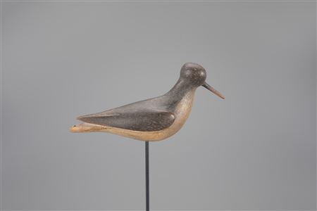 Sandpiper