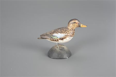 Miniature Blue-Winged Teal Hen