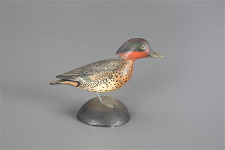 Miniature Green-Winged Teal Drake