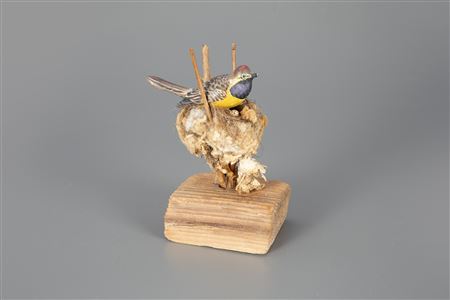 The Dempsey-Chace Songbird in Nest with Egg