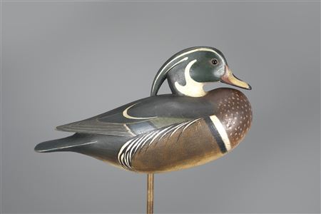 Standing Wood Duck Drake