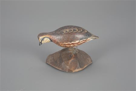 Miniature Feeding Bobwhite Quail