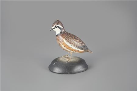 Half-Size Bobwhite Quail