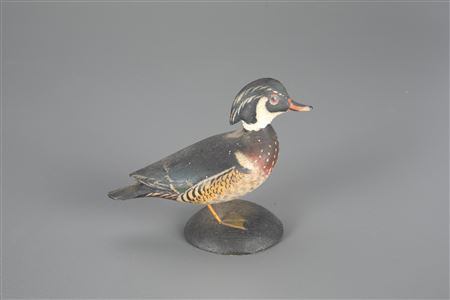 Miniature Wood Duck