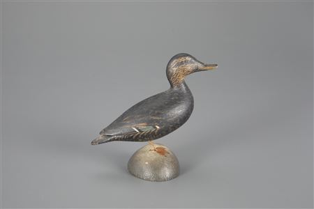 Exceptional Miniature Black Duck