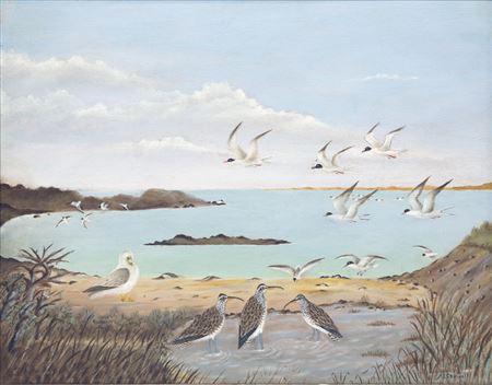 Cape Cod Summer Shorebirds